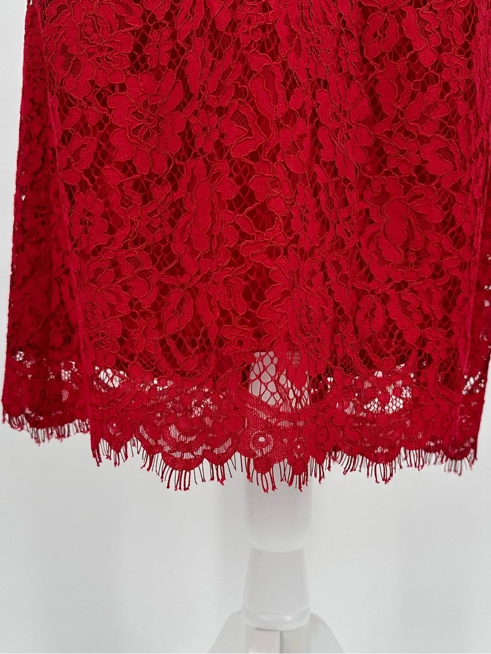 J.Crew Red Lace Pencil Skirt Scalloped Eyelash Hem Lined Size 10 - Picture 8 of 13